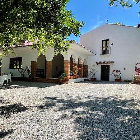 Villa Tana Pacenzia Cefalù Eksteriør bilde