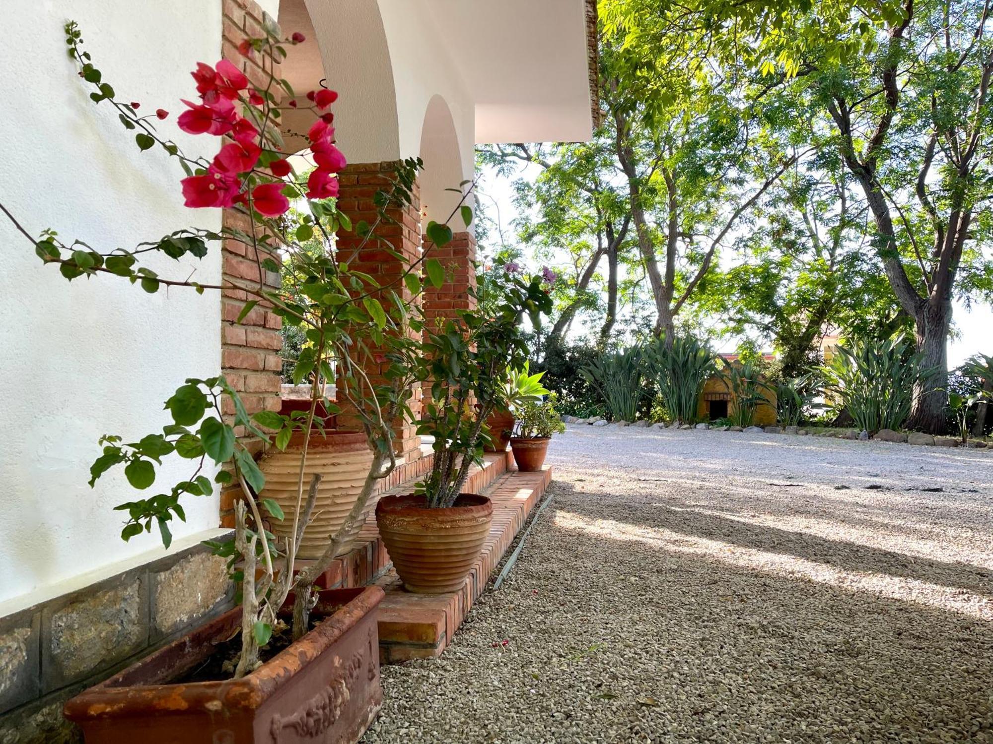 Villa Tana Pacenzia Cefalù Eksteriør bilde