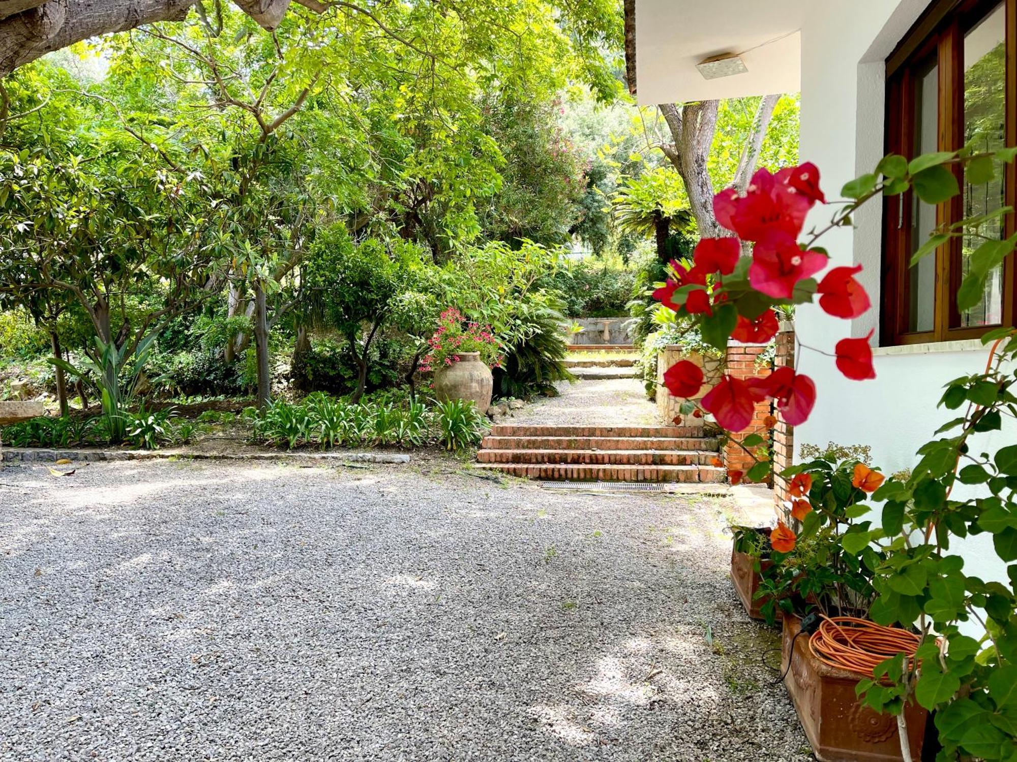 Villa Tana Pacenzia Cefalù Eksteriør bilde